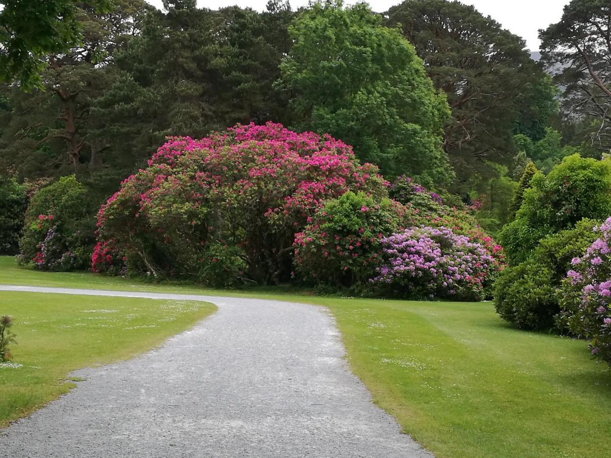 Watersedge Seaviews Hotel Kenmare Bagian luar foto