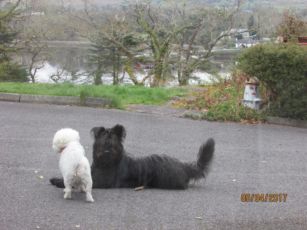 Watersedge Seaviews Hotel Kenmare Bagian luar foto