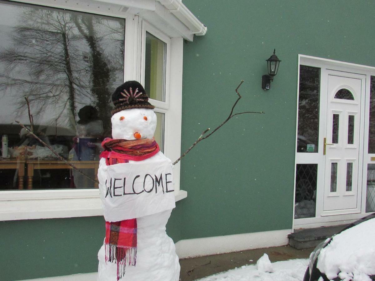 Watersedge Seaviews Hotel Kenmare Bagian luar foto