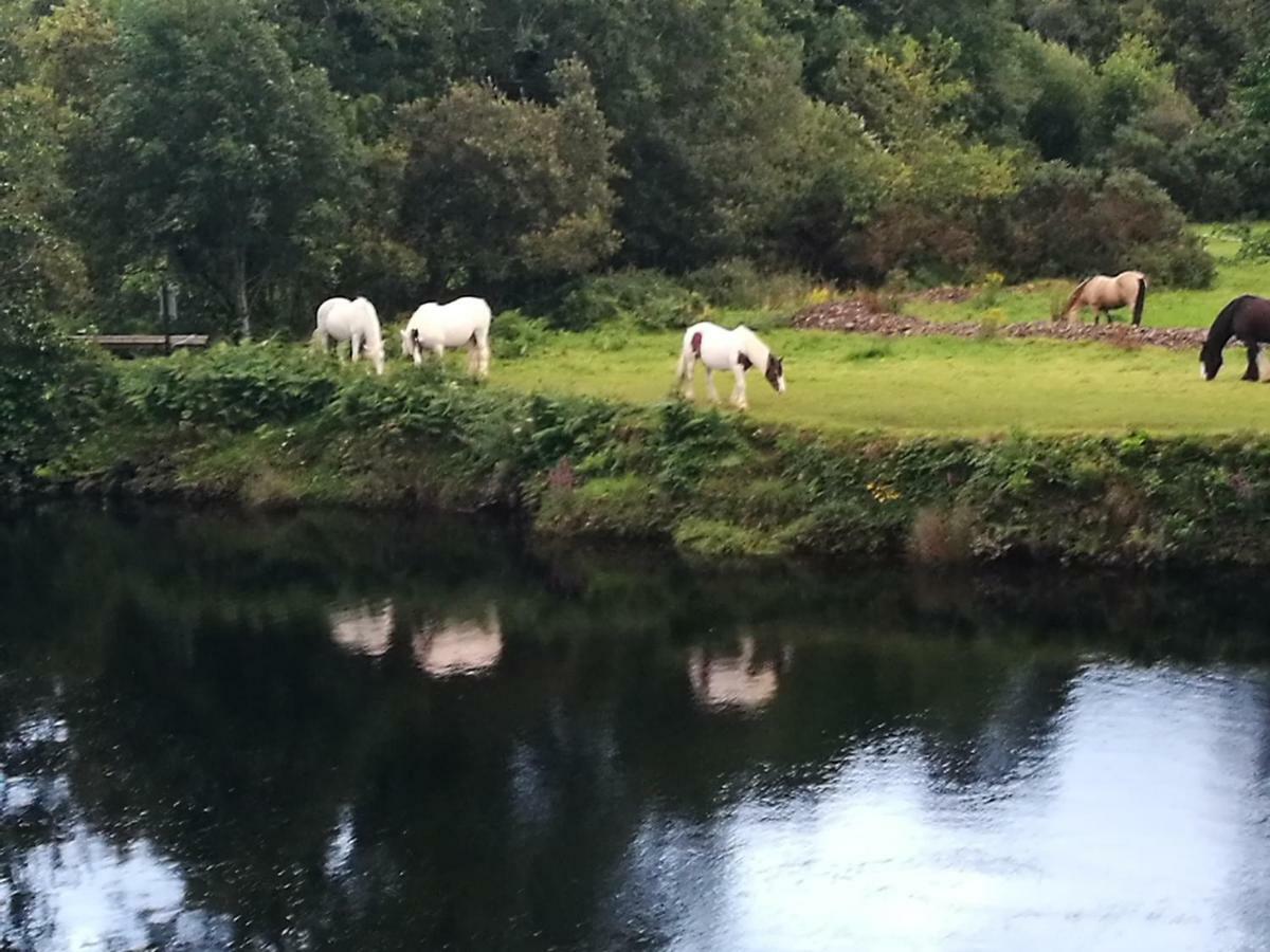 Watersedge Seaviews Hotel Kenmare Bagian luar foto